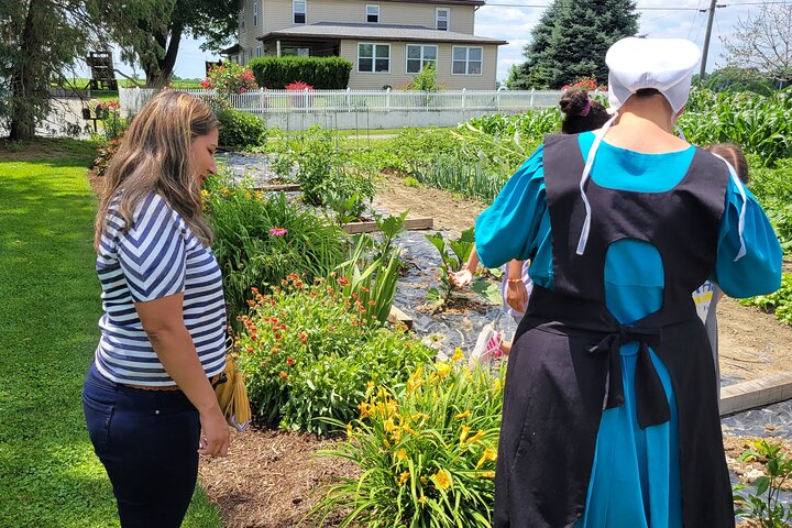 Unique Amish Immersion in Lancaster - Photo 1 of 16